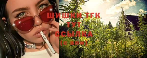 дурь Осинники