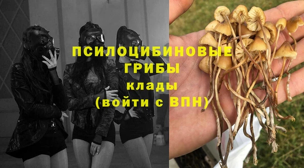 дмт Остров