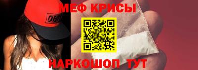 стаф Гай