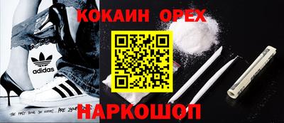 стаф Гай