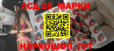 стаф Гай
