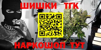 стаф Гай