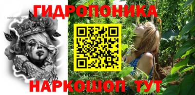 стаф Гай