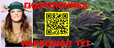 стаф Гай