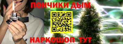 стаф Гай