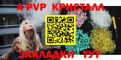 стаф Гай