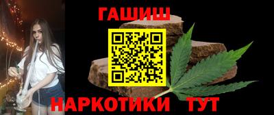 стаф Гай
