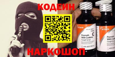стаф Гай