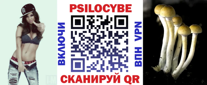 даркнет какой сайт  Владикавказ  Псилоцибиновые грибы Psilocybine cubensis  наркошоп 