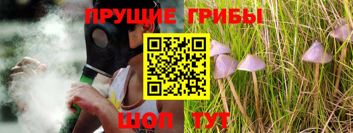 Галлюциногенные грибы ЛСД  Владикавказ 