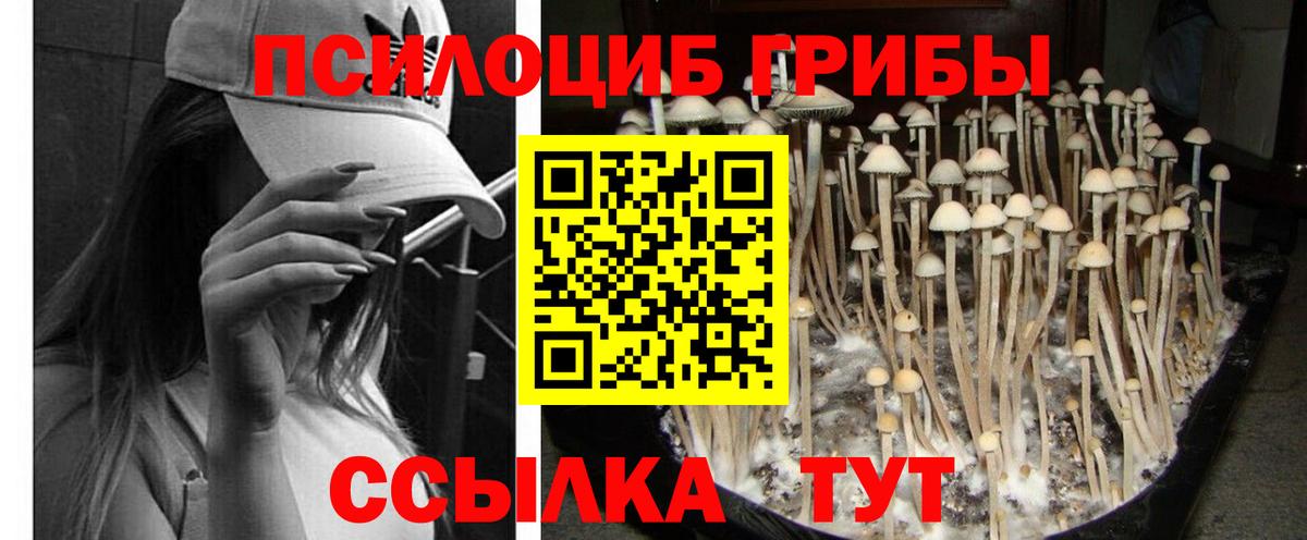 Владикавказ  Псилоцибиновые грибы мухоморы  Вход с VPN 