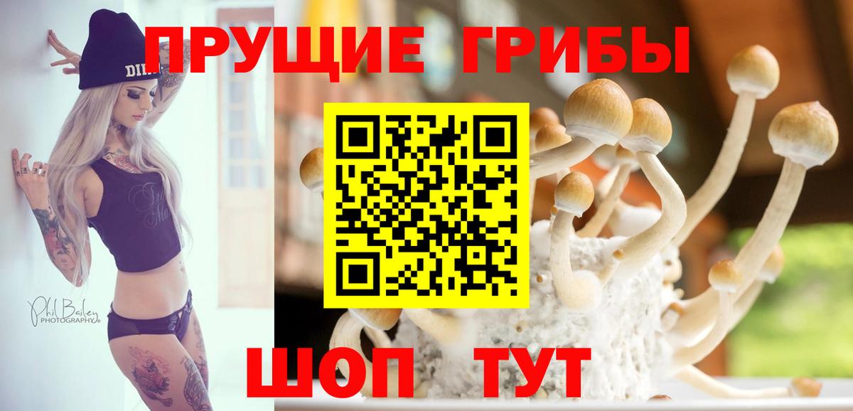 Галлюциногенные грибы прущие грибы Владикавказ